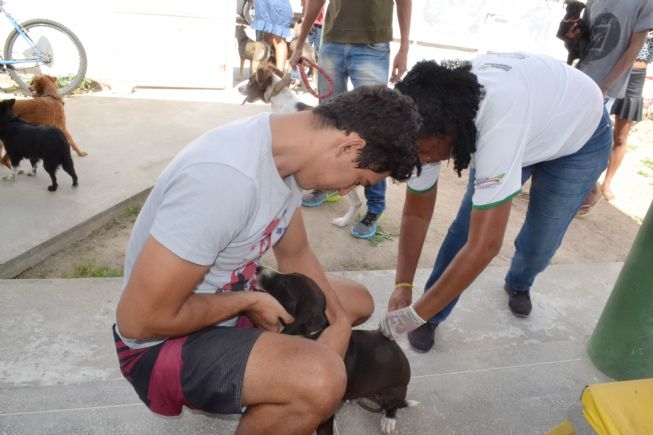 FEIRA DE SANTANA: Mais de 6 mil animais vacinados na primeira semana de campanha antirrábica
