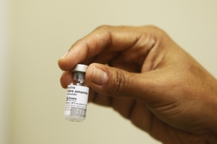  Oito municípios baianos têm dia D de vacinação contra Febre Amarela neste sábado
