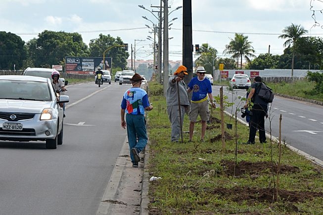 PMFS: 176 árvores são plantadas na avenida Fernando Pinto, no SIM