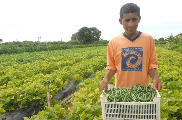 Agricultores familiares terão R$ 31 bi em créditos para produção de alimentos