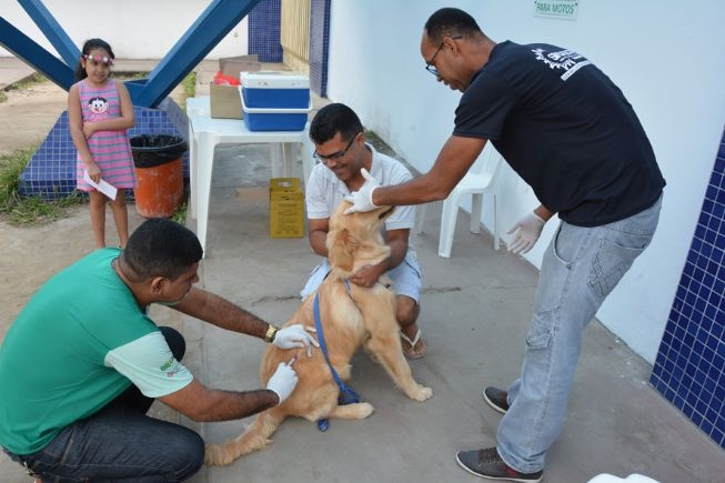 FEIRA DE SANTANA: Donos de cães destacam importância da vacinação contra a raiva