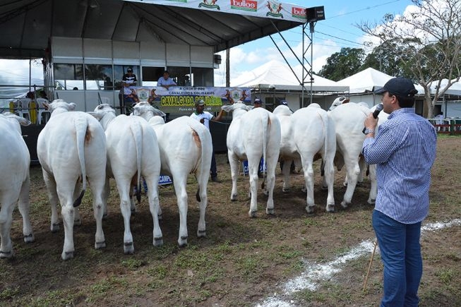 Expofeira 2018: Julgamento de equinos e bovino começa dia 4