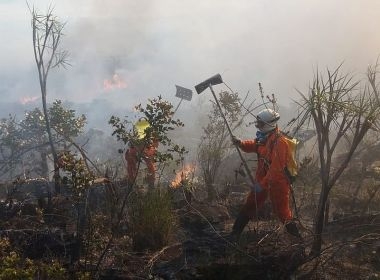 Pesquisa indica 706 focos de incêndio na Bahia em apenas 48h