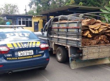 Camacan: PRF apreende carga ilegal de madeira nativa da Mata Atlântica