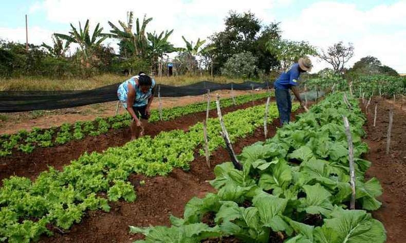 Governo amplia parceria para valorização dos produtos sustentáveis da agricultura familiar