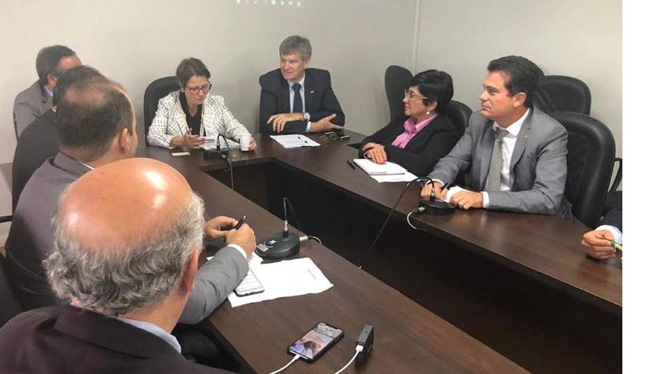 ALBA: Agropecuária baiana é pauta de reunião entre Eduardo Salles e futura ministra da Agricultura