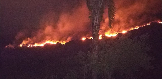 Incêndio devasta a vegetação na região da cidade de Jacobina