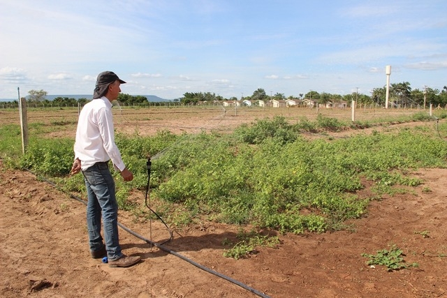 Irrigação compartilhada vai aumentar potencial produtivo de pequenos produtores rurais de Barreiras
