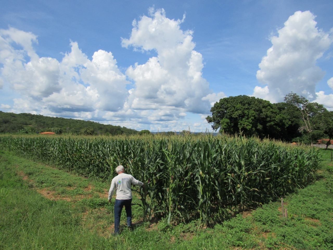  Alta tecnologia aplicada na Agricultura Familiar promete aumentar em até cinco vezes a produtividade em pequenas áreas