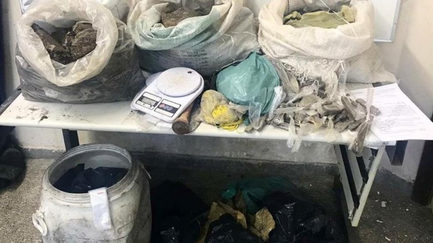 Policiais localizam 60 kg de maconha enterrados na RMS