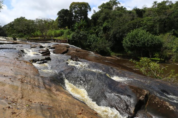 Pequenos agricultores da Bacia do Rio Jiquiriçá serão beneficiados com sistemas agroflorestais