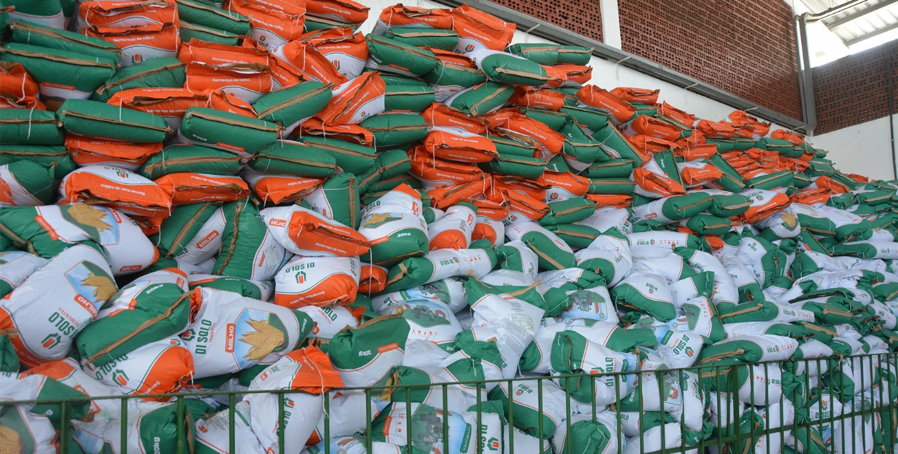 Prefeitura de Feira vai distribuir 90 toneladas de sementes de milho e feijão