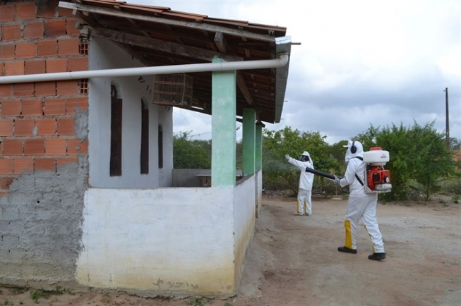 Prefeitura de Feira recebe 40 litros de inseticida para combater aedes na fase adulta da vida