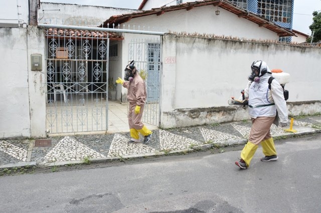 Prefeitura de Feira vai abrir vagas temporárias para agentes comunitários de saúde e endemias