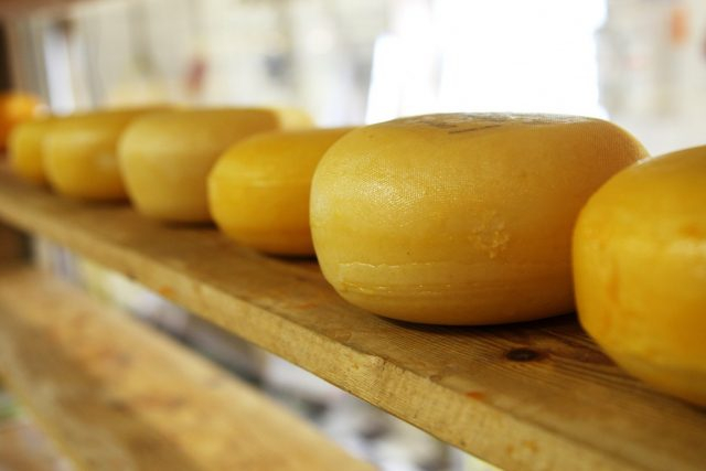 Produtores rurais baianos são destaques na 2ª edição do Mundial de Queijo do Brasil