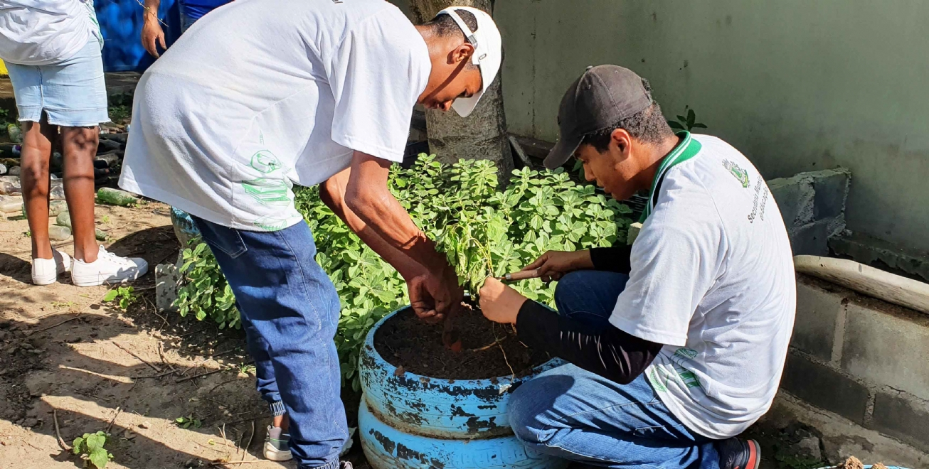 Sustentabilidade na educação é tema de seminário com secretários e especialistas