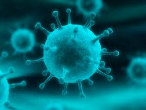 Testes rápidos para se detectar coronavírus são enviados a mais de 60 municípios baianos